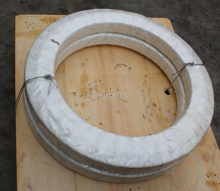 R110-7 Slewing Bearing voor Hyundai Excavator Spare Parts 81N3-01020 Swing Circle Slew Ring OEM